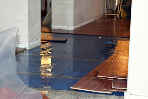 Professional Water Damage Repair technician working in Hill, NH